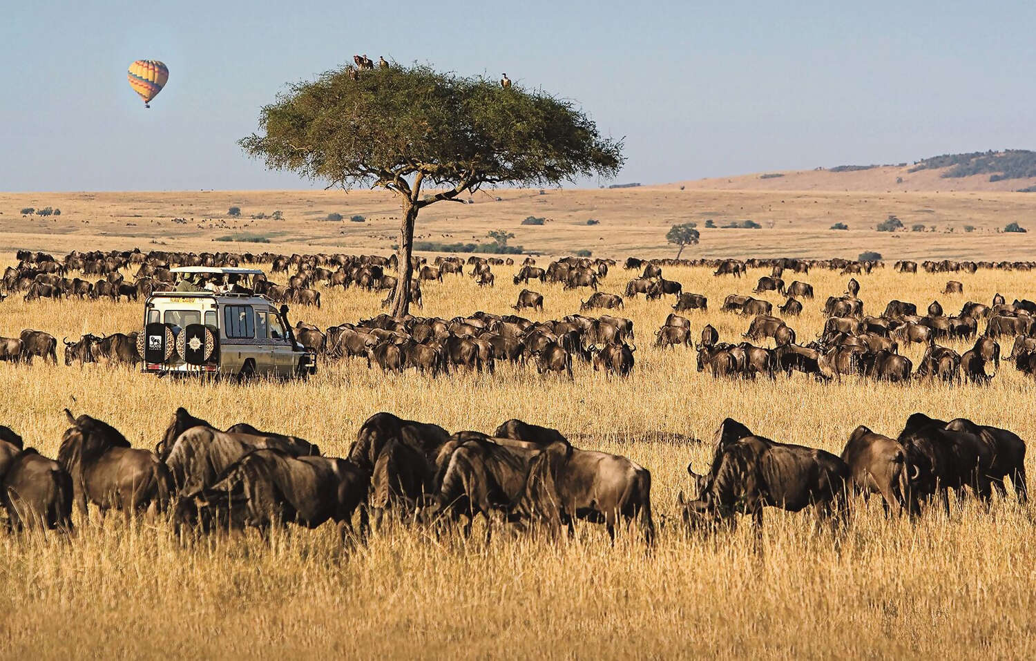 Micato Safaris
