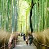 Your Dream Japan & South Korea Cruise is Calling - Space Filling Fast!