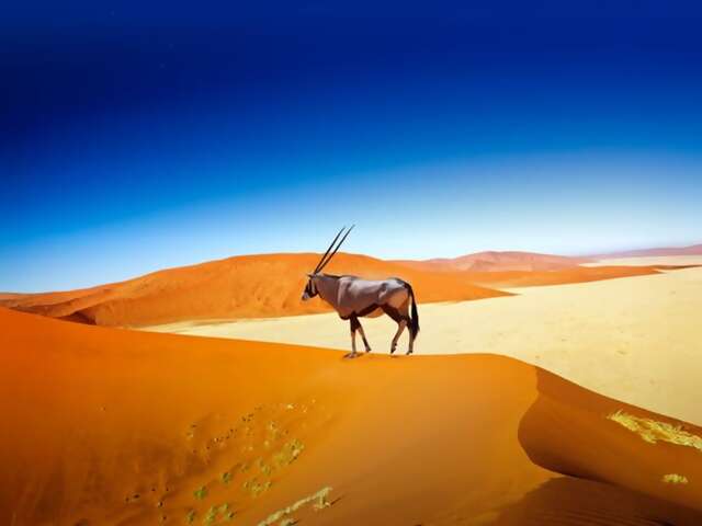 Save Up to $400 Off Your Next Journey!