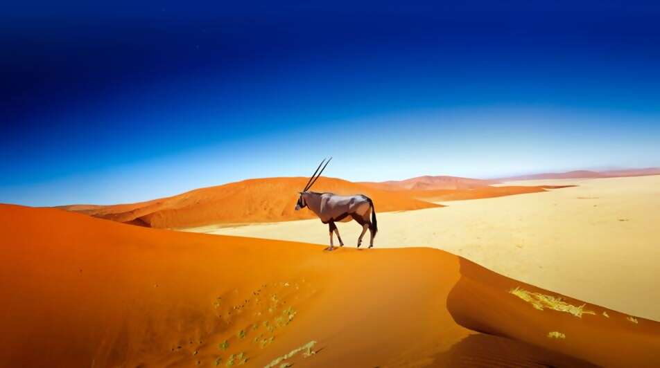 Save Up to $400 Off Your Next Journey!