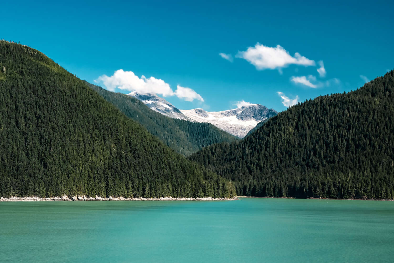 Alaska Banner