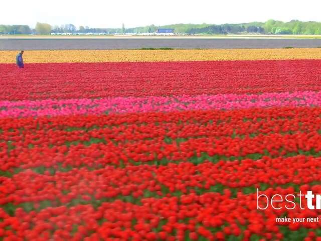 Video: The World's Largest Spring Flower Garden - in Full Bloom on a Tulip-Time River Cruise!