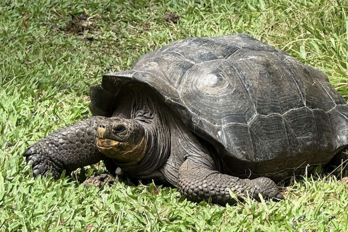 Galápagos FAM Trip: An Adventure of a Lifetime