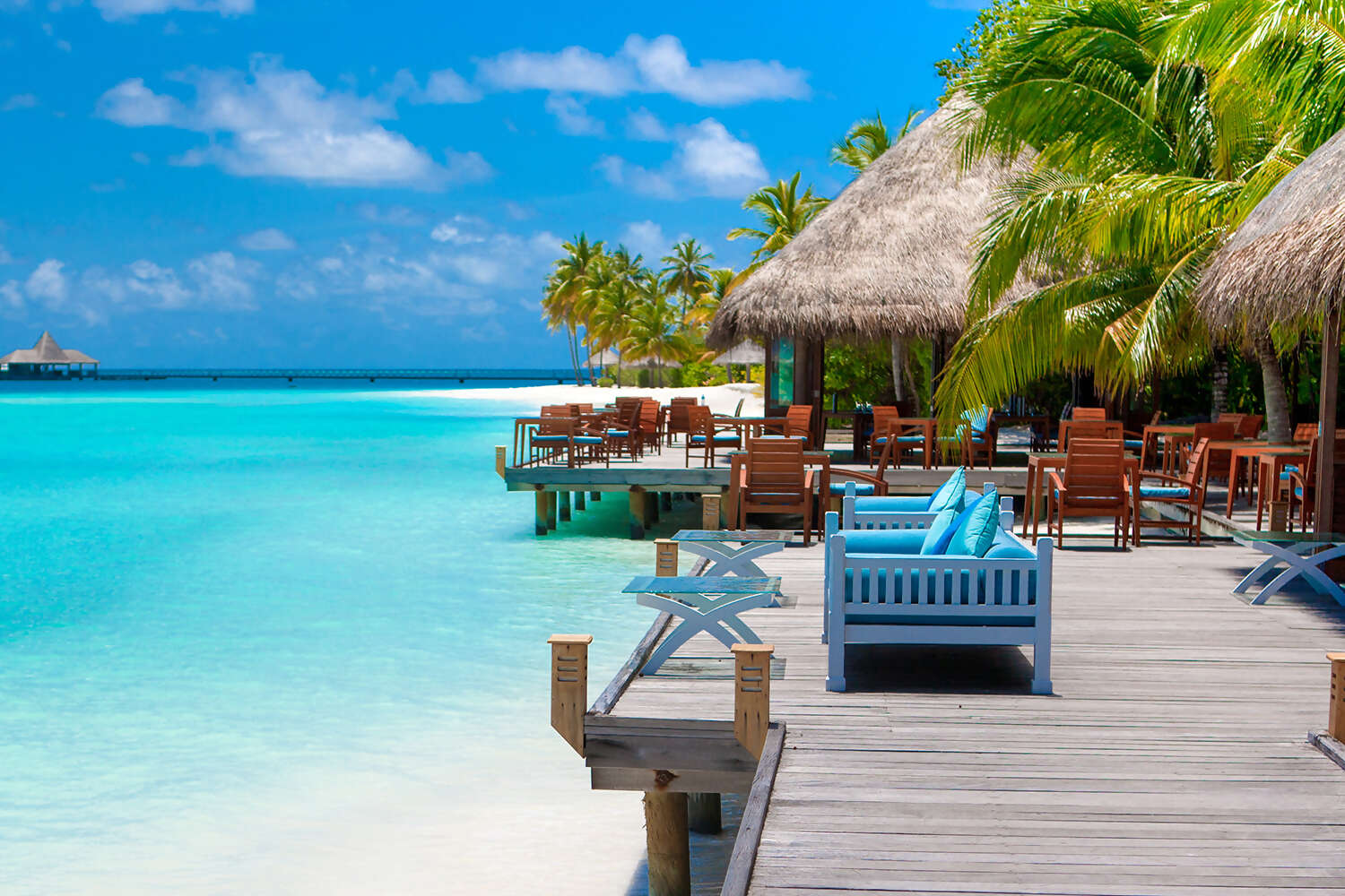 Beach and resort Banner