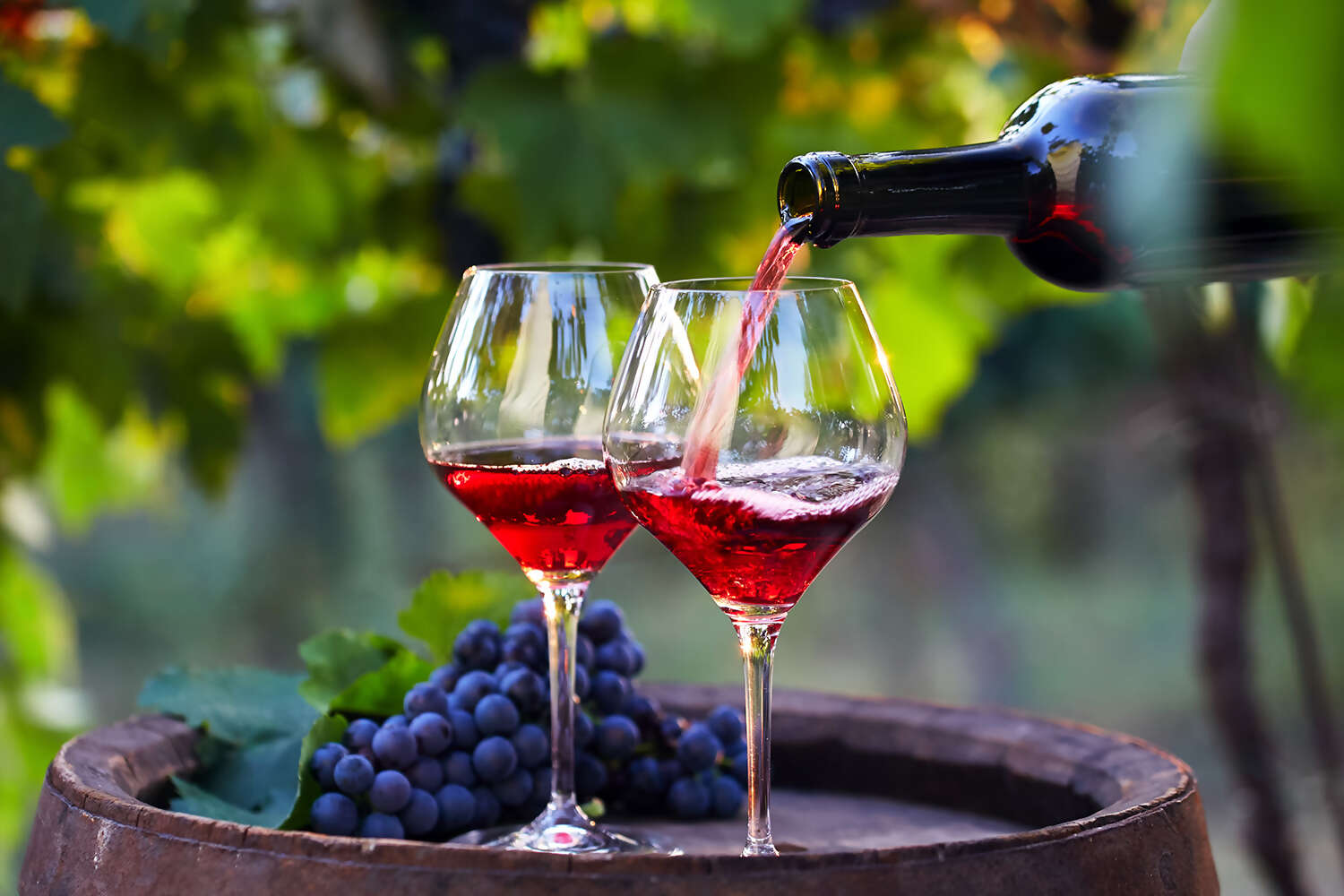 Culinary and Wine Travel