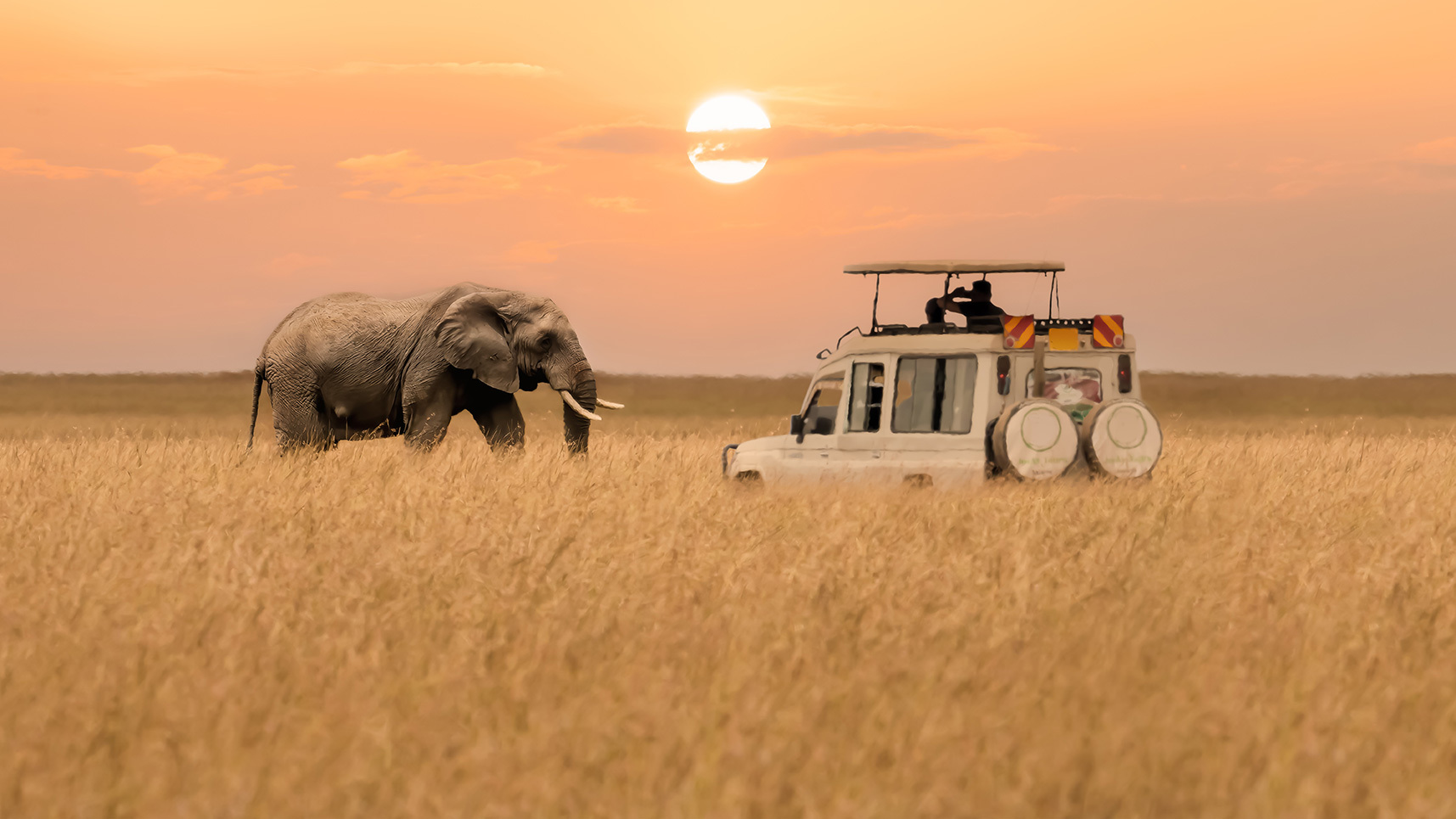 Africa safari