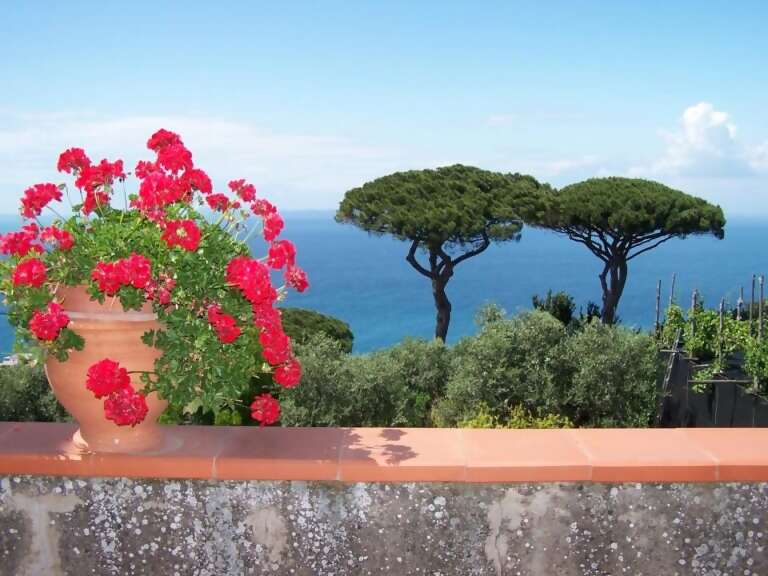 Italy Painting & Drawing Retreat with Michelle Miller