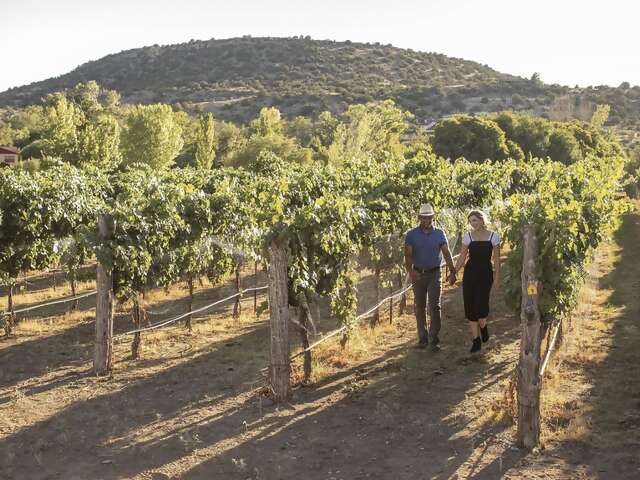 Arizona’s Premier Private Wine Tour with Lunch Included