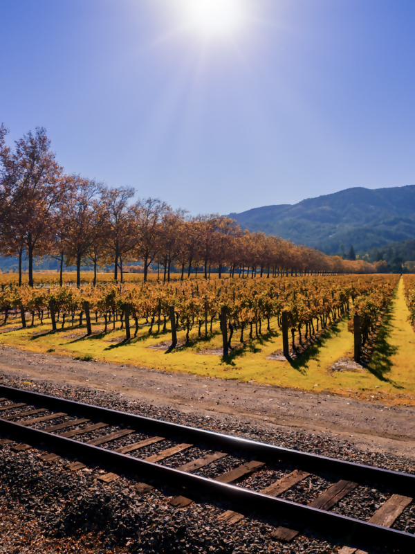 All Aboard a Tasting Train!