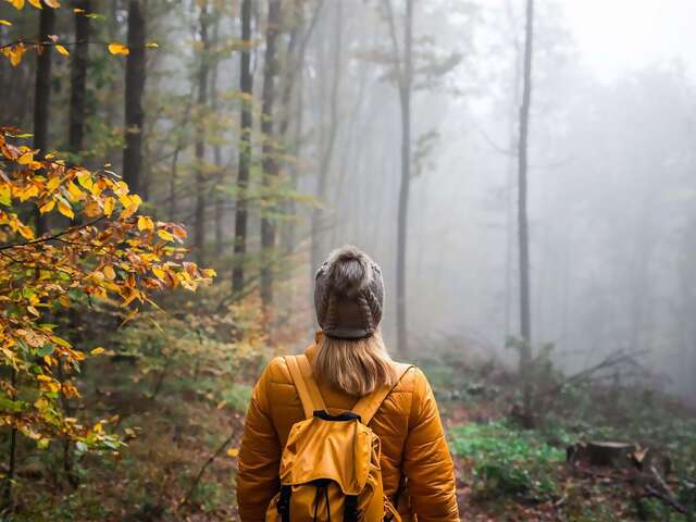 Take a Hike!