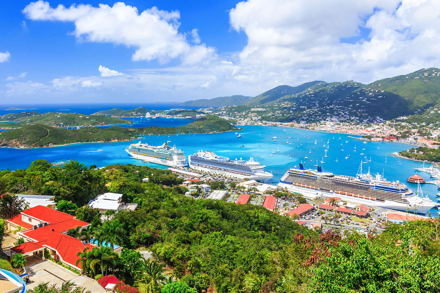 Ocean and River Cruises