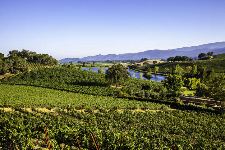 Arrival and Introduction to Napa