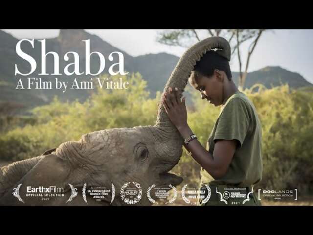 Celebrate World Elephant Day Watching this New Film About Rehabilitating Elephants to the Wild in Kenya