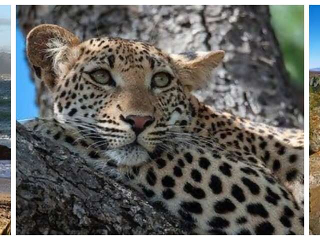 South Africa Encompassed