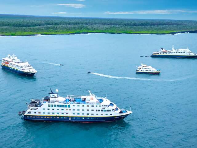 Four National Geographic-Lindblad Expedition Ships Unite