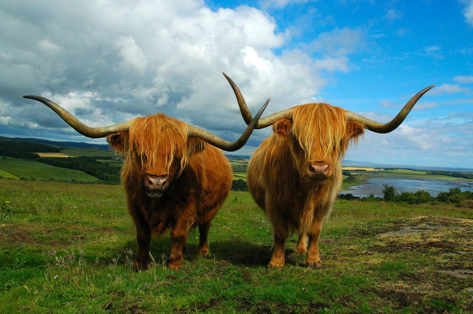 2025 Early Bird Discount with CIE Tours