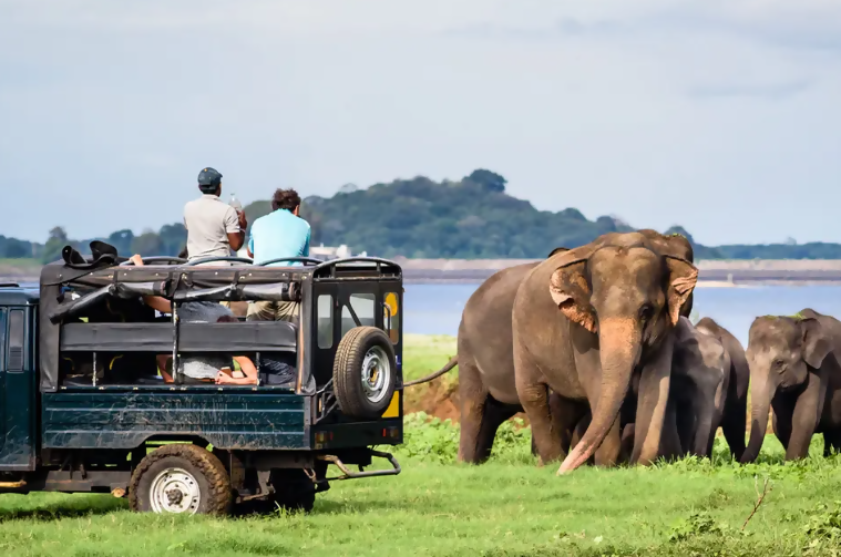 Sri Lanka: Island Treasures with Cathy & Colleen