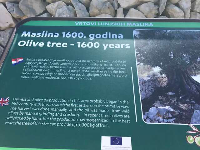 72164025_10162359697045397_1945628723482984448_n TB.jpg