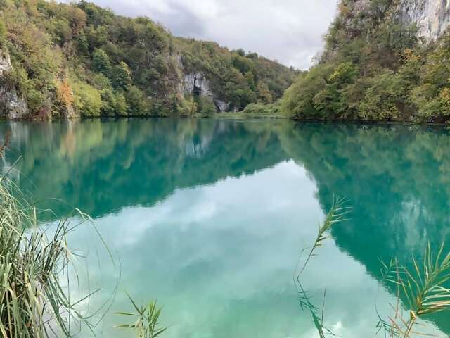 73002096_10157532745412317_6237185944298979328_n smc.jpg