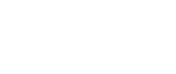 Leaps and Bounds Travel