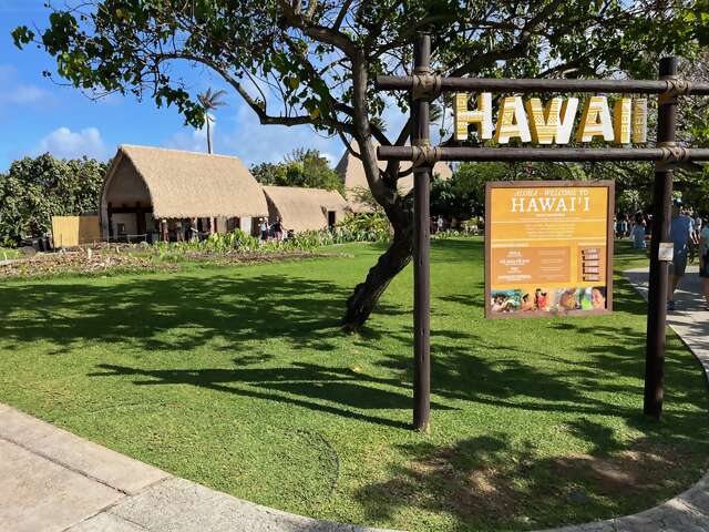 Hawai'i with Igor