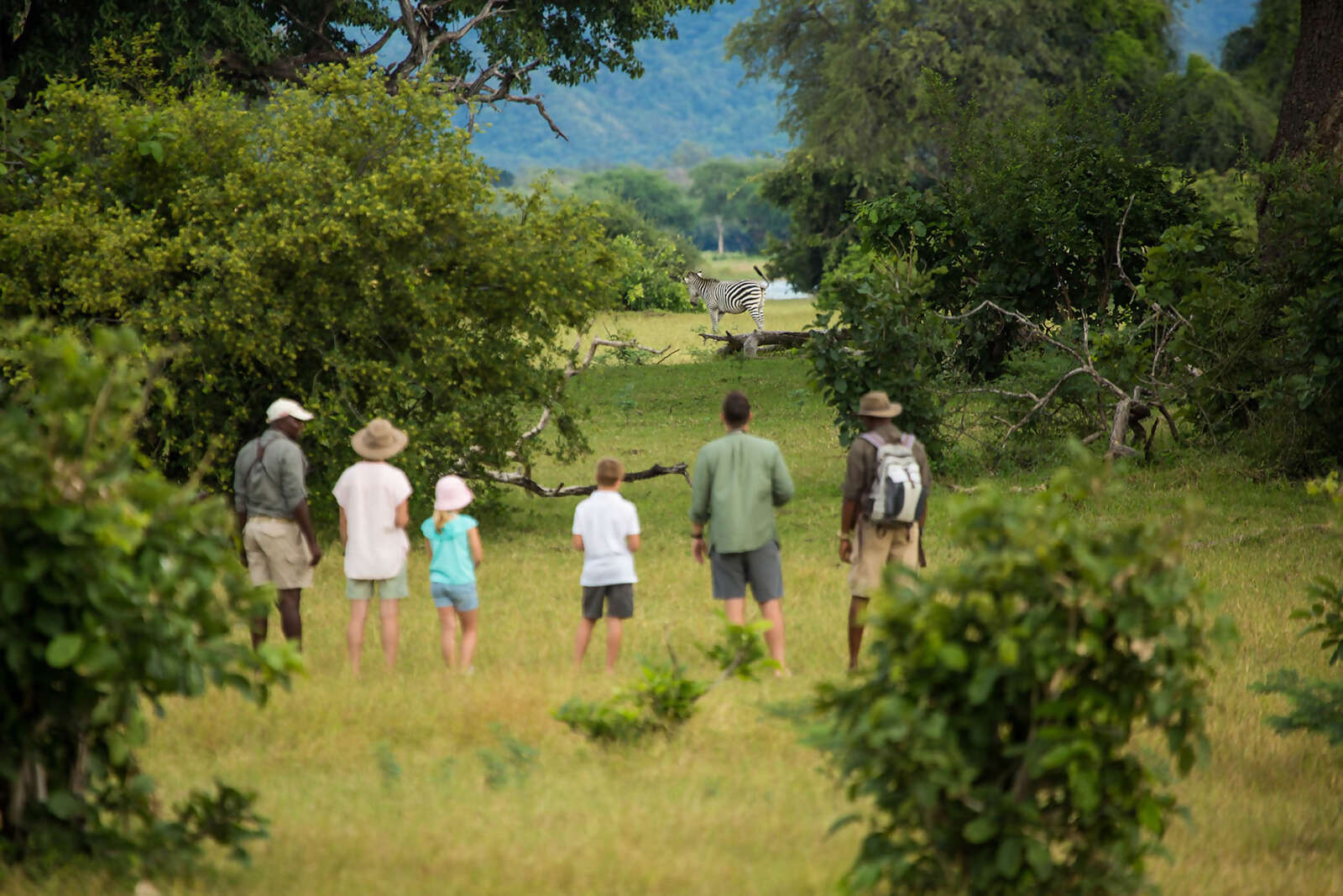 11Great-Plains-Zanji-Suite-at-Tembo-Plains-safari-walk-with-zebra.jpg