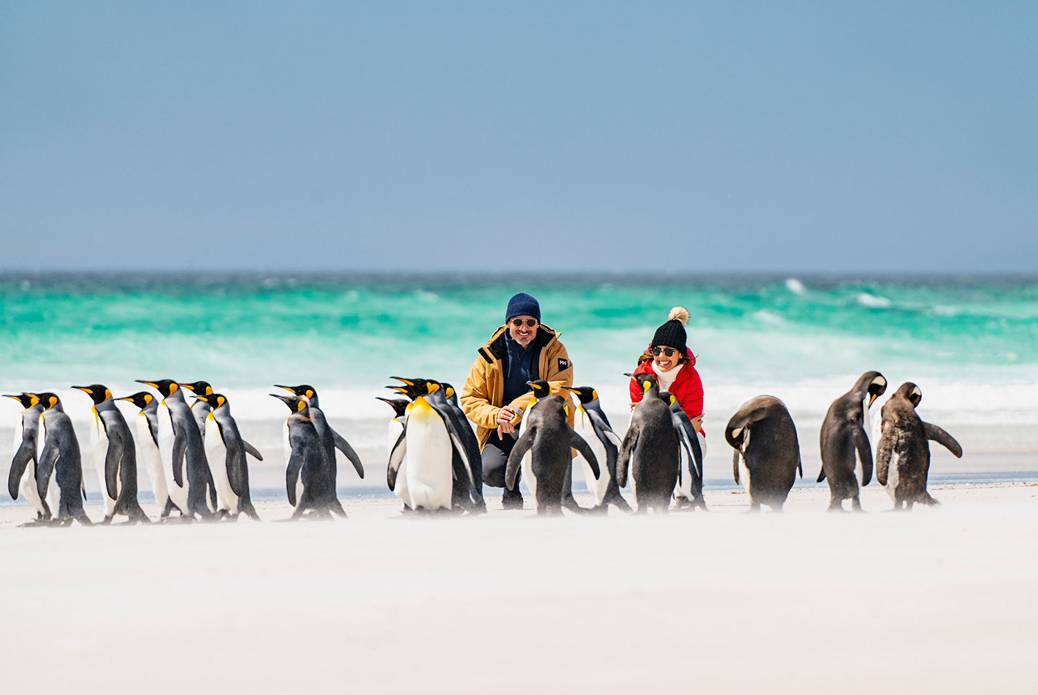 South America & Antartica