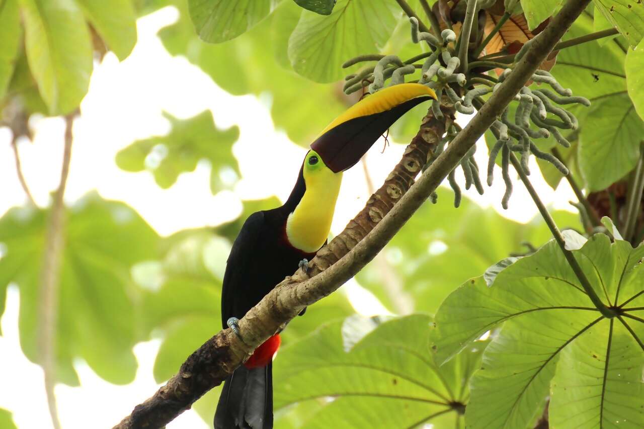 What is it like to travel to Costa Rica as a Nature Lover