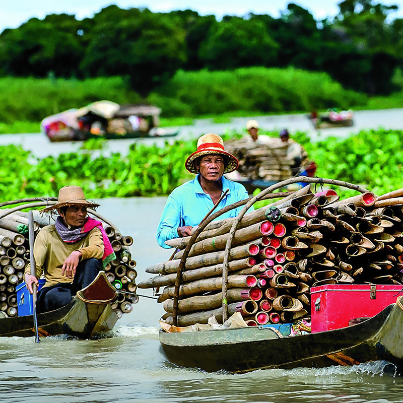 Cruise | Ho Chi Minh City