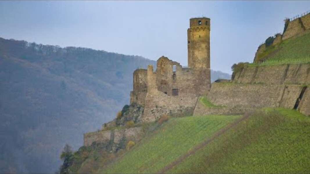 Episode 8: Wine and Culinary Rhine River Cruise