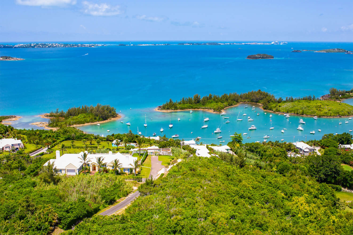 Bermuda - Disappear from the Ordinary