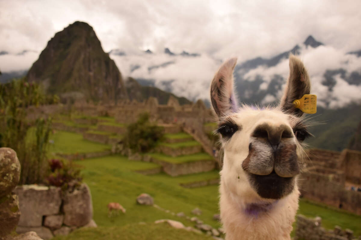 October 21 - Aguas Calientes - Hatun Inti Boutique - 1 night - Breakfast