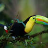 Monograms’ Wanderlist Costa Rica 2019 Packages Now on Sale