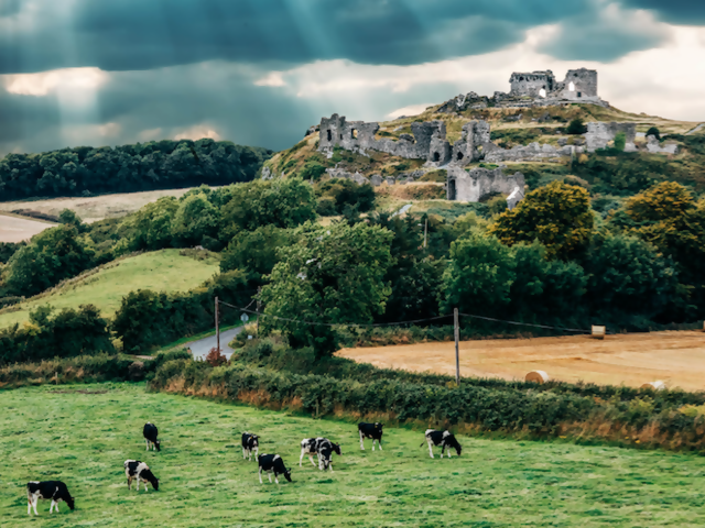 Top Souvenirs from a Trip to... Ireland