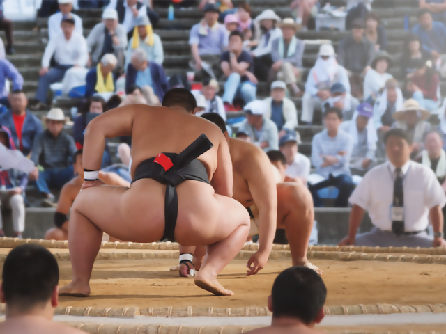 How the Postponed Tokyo Olympic Games Will Feature Japan's National Sport