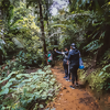 Explore the Oldest Protected Forest in the Hemisphere
