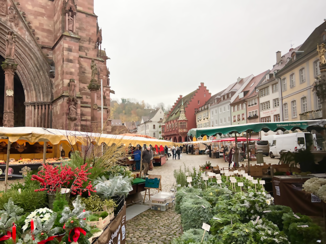 Sneak Peak at Season 2: Christmas Markets You Can't Miss on a Viking 'Christmas on the Rhine' River Cruise