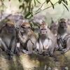Top Countries for Wildlife Viewing - and What to Photograph There