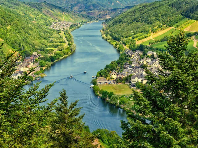 Essence of the Douro - 5 Night - Ms Andorinha - November 2025