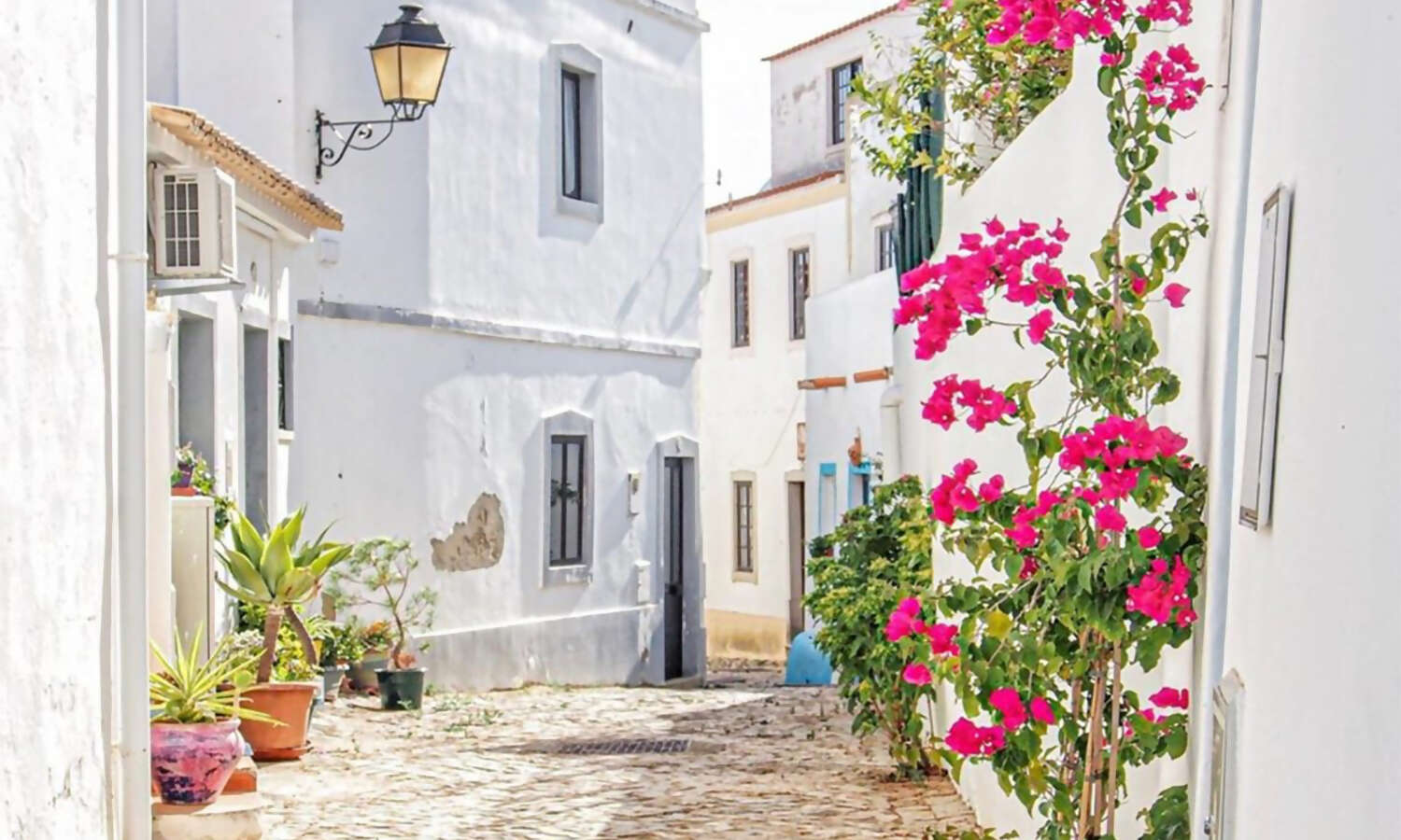 Reconnect to your Why:  A Wellness Retreat for Professional Women