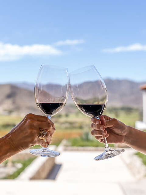 Food & Wine
