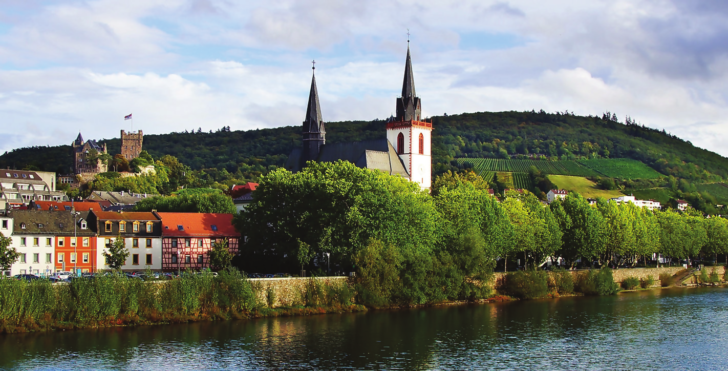 Castles Along The Rhine
