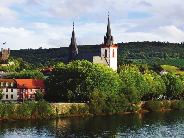 Castles Along The Rhine