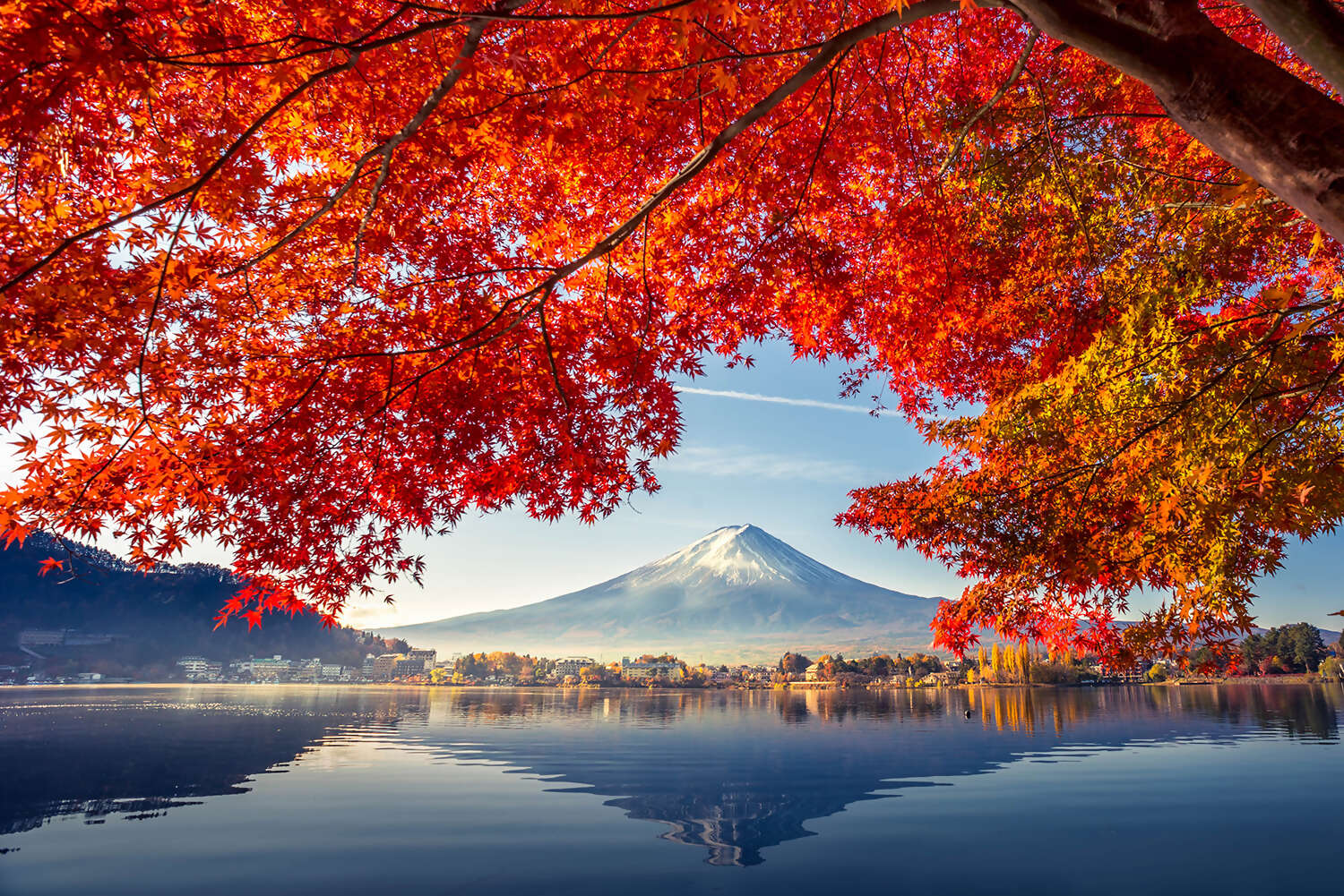 Japan Fuji