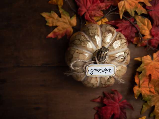 From Us To You… Happy Thanksgiving!