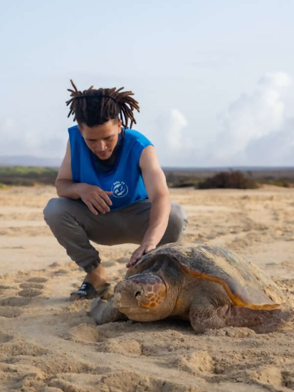 RIU Resort-Supported Eco Project Reports Triumph for Turtles