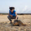 RIU Resort-Supported Eco Project Reports Triumph for Turtles