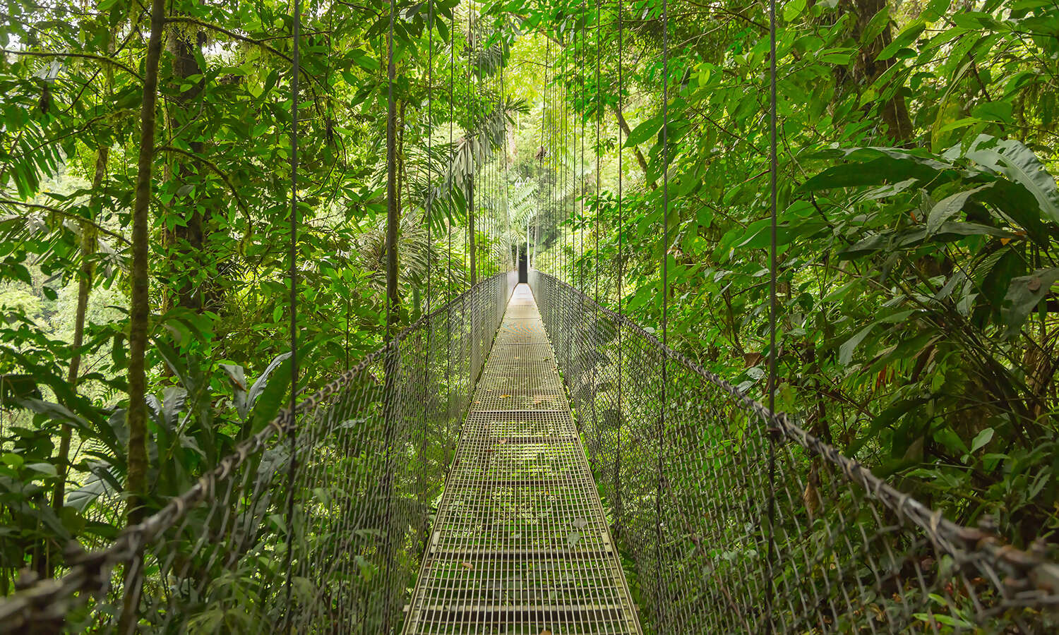 Costa Rica: Exploring Arenal Volcano & Potrero Beach