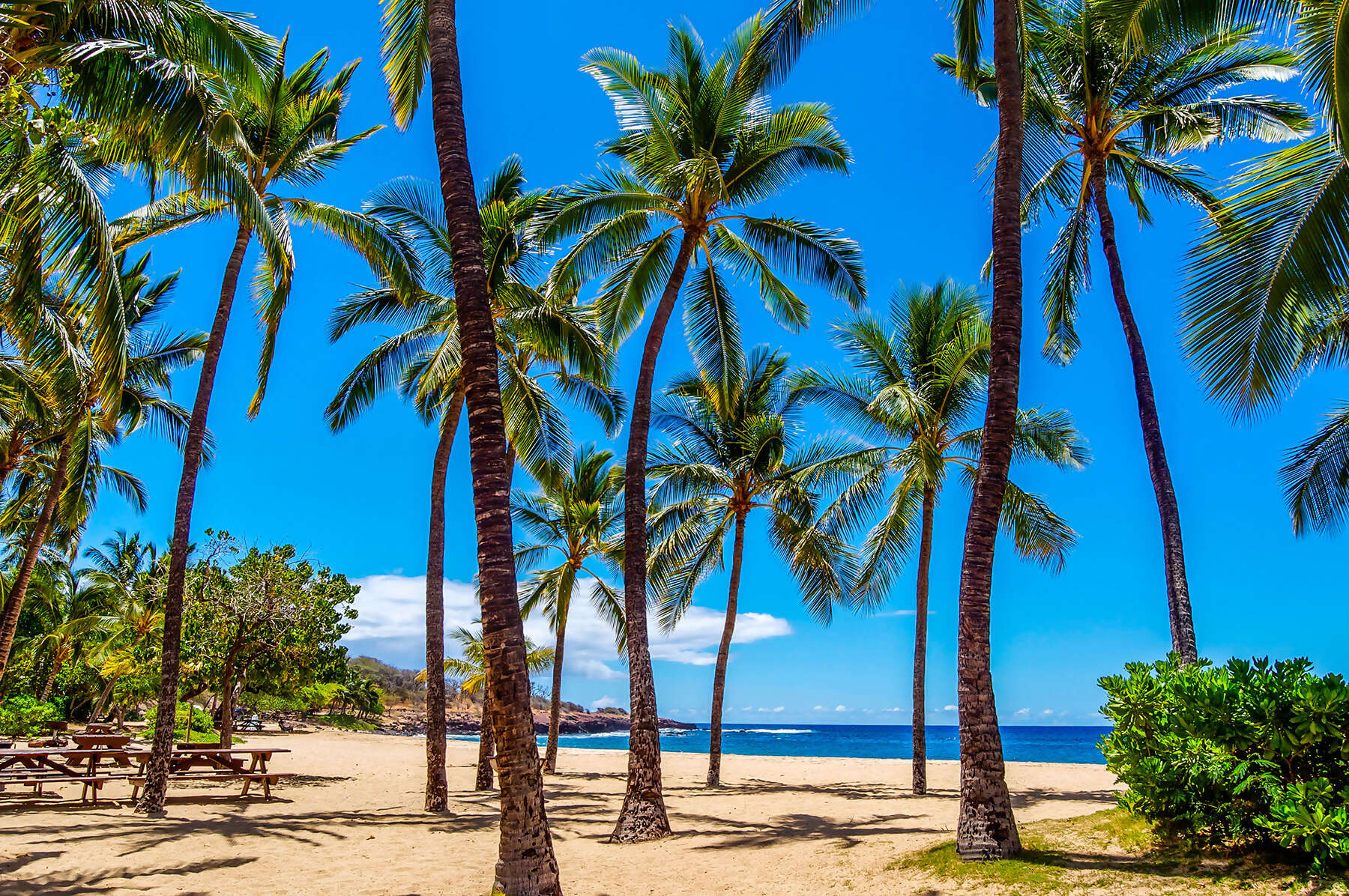 Lanai