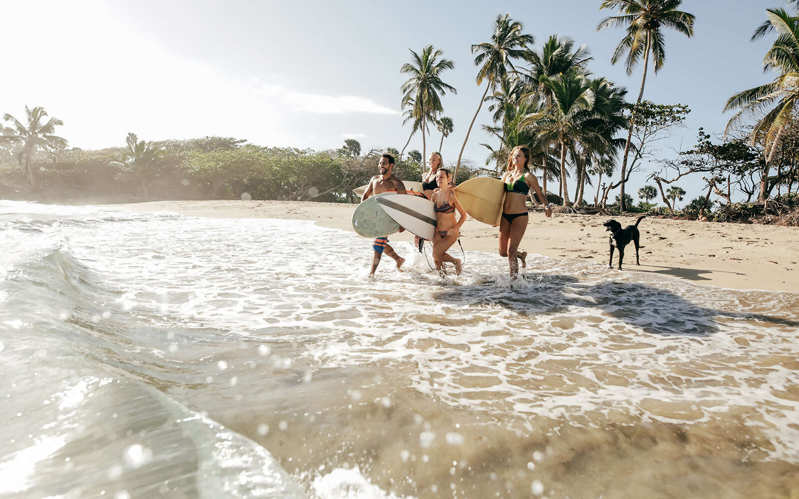 Black Friday and Cyber Monday Offer - Save up to $250